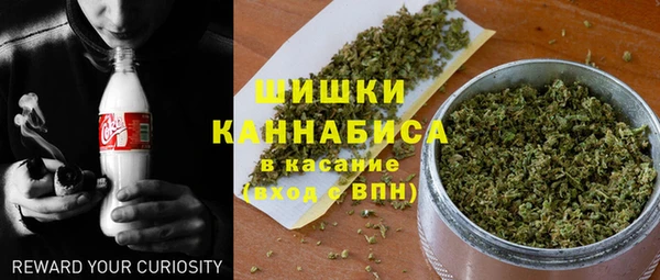 спайс Пересвет