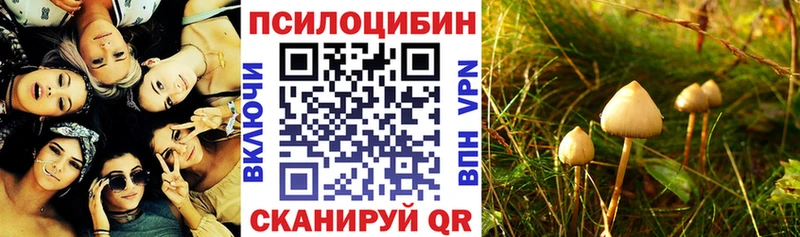 купить наркоту гидра ONION Псилоцибиновые грибы MAGIC MUSHROOMS Наволоки